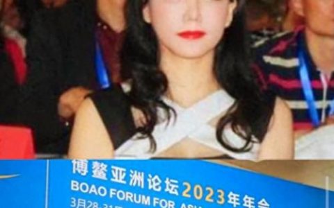 政协委员彭丹(最好的政协委员彭丹)