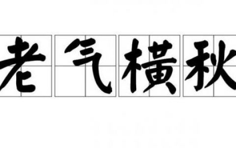 倚老卖老的近义词(倚老卖老的人最怕什么)