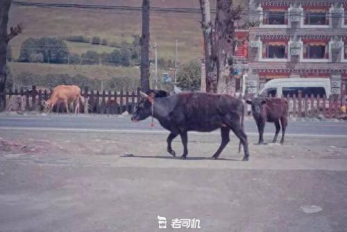 宜昌跑车排名前十(宜昌红色跑车)插图23