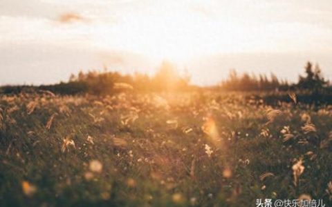 人生是一张单程票(人生单程票经典语录)