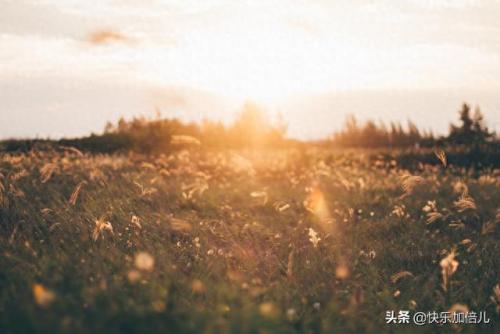 人生是一张单程票(人生单程票经典语录)插图