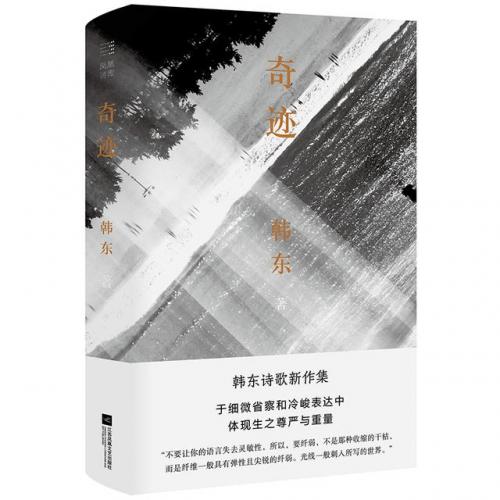 排名前十的诗集书(诗集名字简单好听)插图4