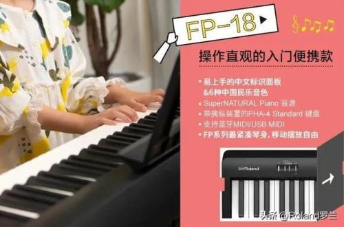 钢琴复音数量排名前十(什么是复音钢琴)插图1