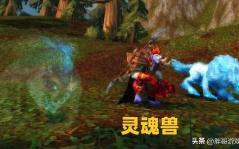 魔兽世界抓灵魂兽的宏(wow自动选取目标并攻击)