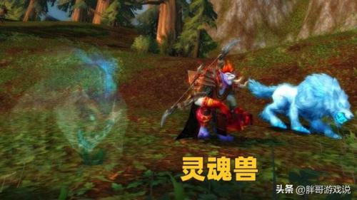 魔兽世界抓灵魂兽的宏(wow自动选取目标并攻击)插图