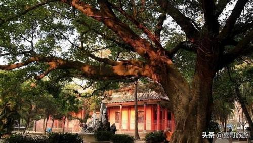 普宁旅游景点大全(普宁必去的4个景点)插图8