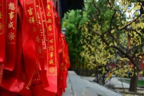 北京寺庙道观排名前十(北京正规寺庙排名)插图14