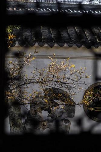 苏州景观大师排名前十(苏州十大景观公司排名)插图16