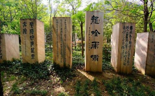 郑州著名景区排名前十(郑州雁鸣湖景区)插图11