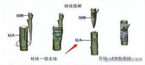 亚马逊厨房秤排名前十(厨房烘焙秤哪种好)插图8