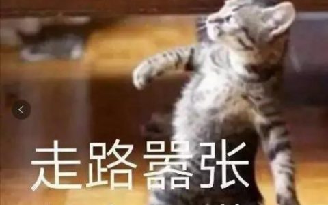 广州女装品牌有哪些(广州市十大服饰品牌)