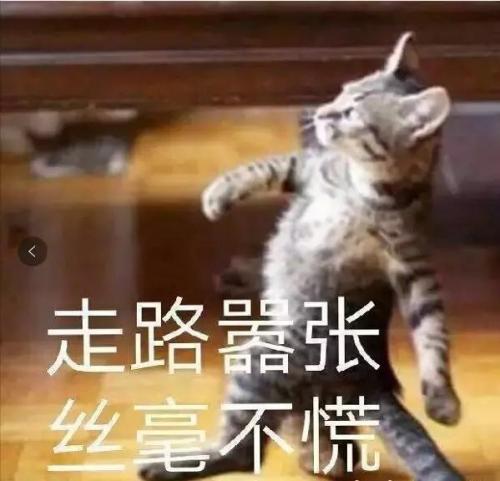 广州女装品牌有哪些(广州市十大服饰品牌)插图