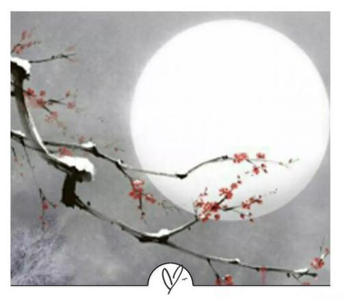 古风歌曲推荐(意境很美的古风歌曲)插图12