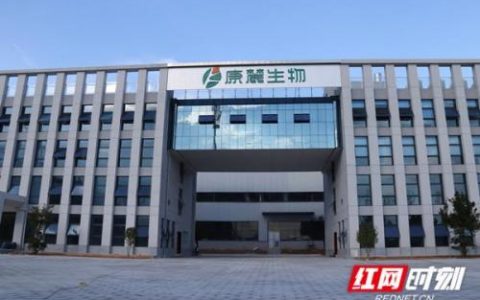 娄底制衣公司排名前十(娄底有哪些市)
