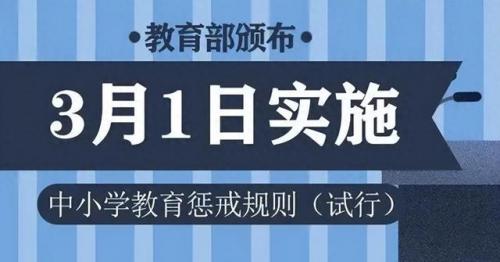 家庭教师选择游戏谁赢了(家庭教师推荐角色)插图11