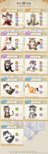 灵猫传狸猫图鉴汇总介绍(猫灵相册猫灵图鉴)插图1