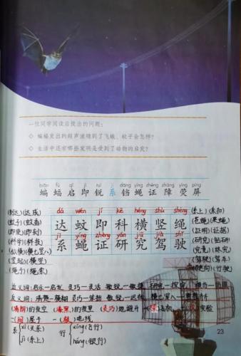 蝙蝠和雷达的资料(模仿蝙蝠发明雷达的例子)插图2