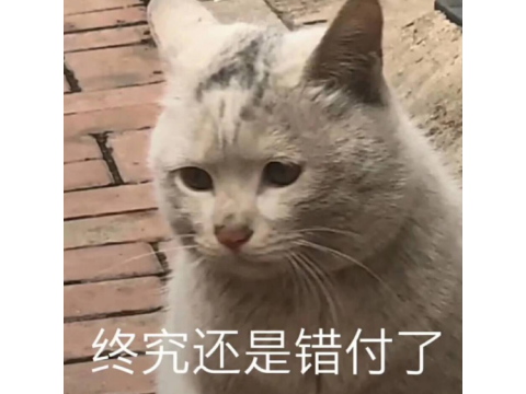 永恒之塔是点卡游戏吗(永恒之塔现在怎么收费)插图9