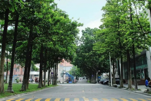 广东省外语艺术职业技术学院(广东省外语艺术职业学院)插图7