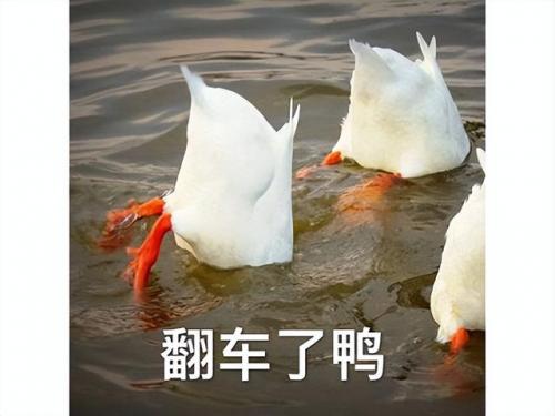 萌将三国通用礼包兑换码(萌三国礼包万能兑换码)插图38