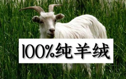 中国高端丝巾排名前十(中国高档丝巾有哪些品牌)