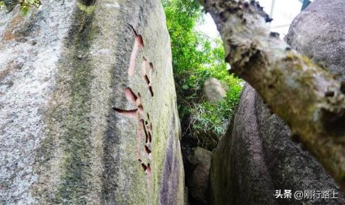 热带森林公园(海口林场森林公园门票)插图5