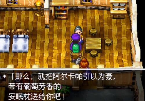 勇者斗恶龙5地图大全(勇者斗恶龙5青年后期)插图9