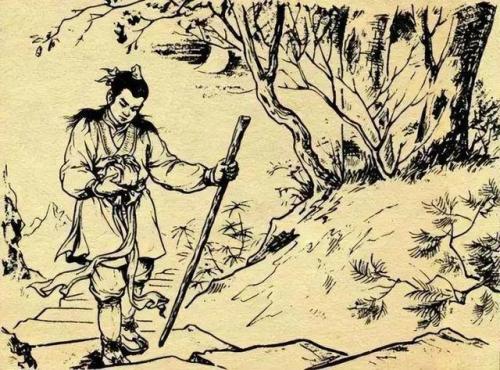 妖狐试图掳走的妖怪(妖狐试图掳走的妖怪是什么)插图7