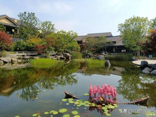 青岛街景酒店排名前十(青岛中心城区酒店排名)插图22