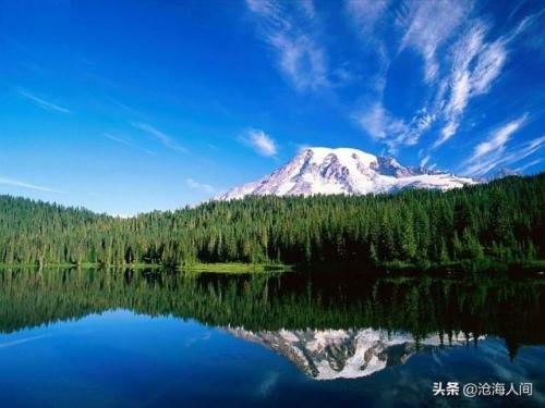 惠特妮休斯顿经典歌曲(泰勒最出名的三首歌)插图1