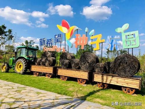 幼儿培训学校排名前十(幼儿园的孩子报什么培训班好)插图22