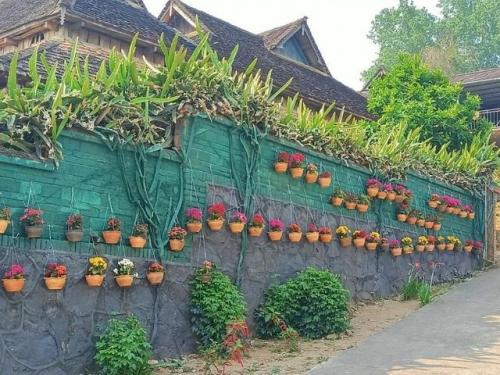 景洪旅游(景洪1500包吃住)插图9