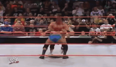 wwe体育价值排名前十(wwe历史十大排名)插图74