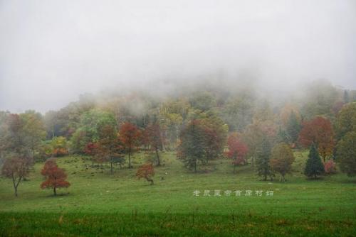 白山小众景点排名前十(白山必去景点大全)插图4