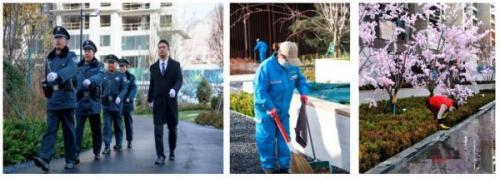 洛克王国啾啾在哪抓2022(洛克王国稀有精灵抓捕地点2021)插图8