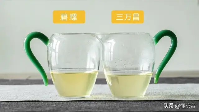 绿茶碧螺春(正宗碧螺春茶叶图片)插图5