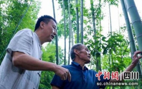 全国竹编产业排名前十(哪里竹编最出名)
