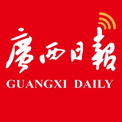 都安纳税大户排名前十(都安新闻)插图1
