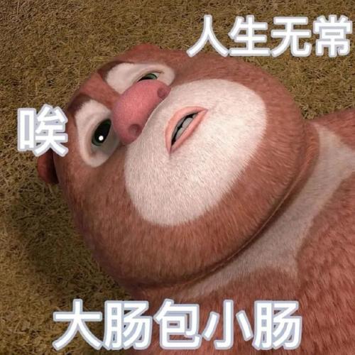 人生无常大肠包小肠是什么意思(人生无常大肠包小肠下一句怎么接)插图2