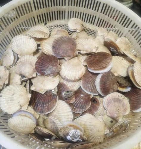 青岛海鲜品种排名前十(青岛海鲜餐厅人气排名)插图24