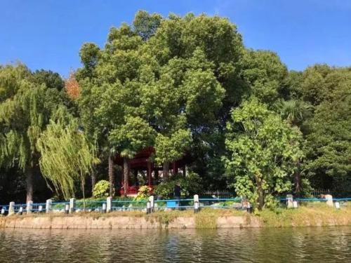 上海划船景区排名前十(上海划船的公园哪个比较好)插图25