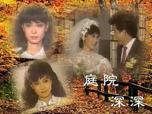 琼瑶言情小说(琼瑶的小说免费阅读)插图2