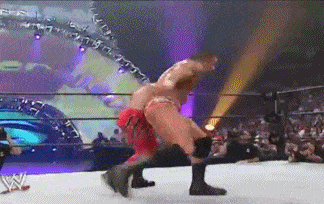 wwe体育价值排名前十(wwe历史十大排名)插图27