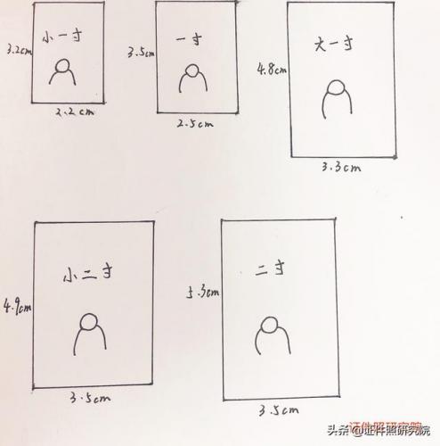 二寸照片多大(2寸照片参照物)插图