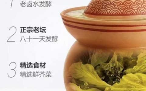 老坛酸菜315(酸菜加工厂可行性报告)