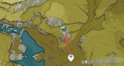 清心在哪里采集(清心采集路线在哪买)插图7