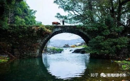 婺源油菜花(婺源油菜花文案)插图9