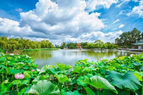 昆明旅游(昆明老街)插图27