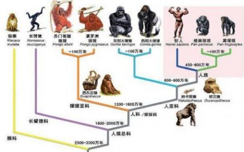 76复古传奇毁灭版(1.76传奇复古)