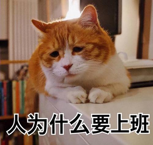小型洗碗机(迷你洗碗机)插图